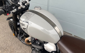 TRIUMPH  TRIUMPH  SCRAMBLER 1200X 2025 DADR0H