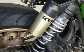 KAWASAKI ZRX1200 D 2017