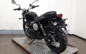 TRIUMPH SCRAMBLER 2025 D5BG25