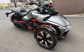 OTHER KANNAMUSPYDER F3-S 2016 RDD