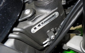 KAWASAKI NINJA 1000SX 2020 ZXT02K