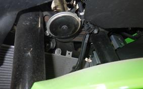 KAWASAKI ZX-4RR 2024 ZX400P