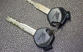 HONDA SH MODE 1981 JF51