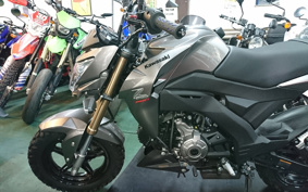 KAWASAKI Z125 PRO BR125H