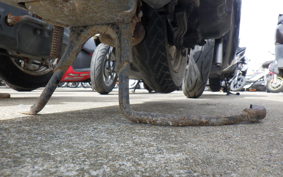 HONDA DIO Gen.4 AF35