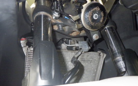 YAMAHA YZF-R25 A 1998 RG43J
