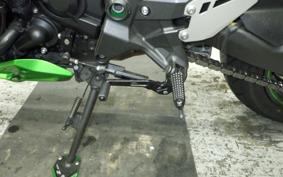 KAWASAKI ZH2 2020 ZRT00K