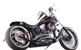 HARLEY FXST 2010 BV5