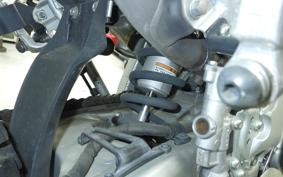 YAMAHA WR250R DG15J
