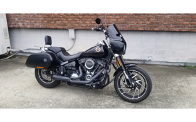 HARLEY FLSB 2019 YMJ