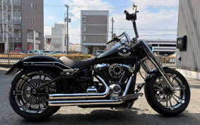 HARLEY FLFBS 2018 YGK