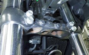 SUZUKI Vｽﾄﾛｰﾑ250SX 2012 EL11L