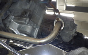 HONDA LITTLE CUB 2024 AA01