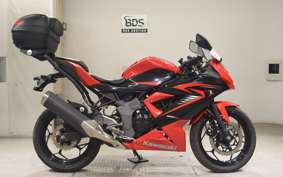 KAWASAKI NINJA 250 SL 2007 BX250A