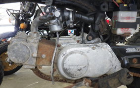 HONDA GORILLA Z50J