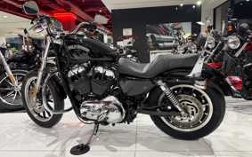 HARLEY XL1200L 2008 CX3