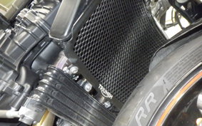 TRIUMPH SPEED TRIPLE RS 2019