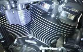 HARLEY FXLRS1920 2026