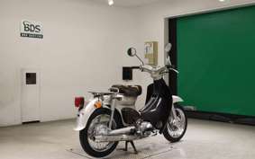 HONDA LITTLE CUB 2019 AA01