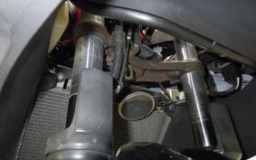 KAWASAKI NINJA 250 ABS EX250L