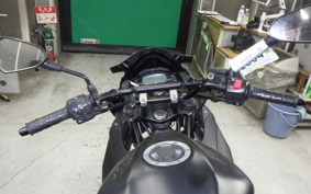 KAWASAKI NINJA 250 2026 BX250A