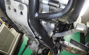 KAWASAKI KLX250D TRACKER 2010 LX250E