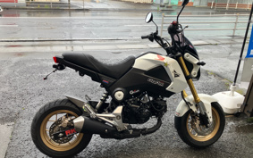 HONDA GROM JC61