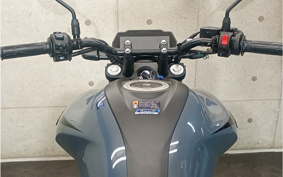 YAMAHA FZS FI RG91