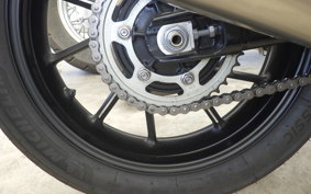 TRIUMPH SPEED TWIN 900 2024
