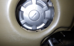 OTHER UNREGISTERED MODEL by BDS125 TRIKE 2021