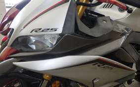 YAMAHA YZF-R25 A RG43J
