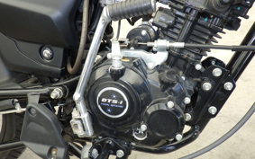 KAWASAKI BAJAJ プラチナ110