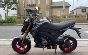 KAWASAKI Z125 PRO BR125H