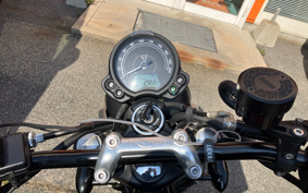 TRIUMPH SPEED TWIN 900 2023 DAD74G