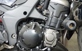 KAWASAKI Z1000 Gen.5 2015