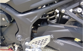 YAMAHA MT-25 RG10J