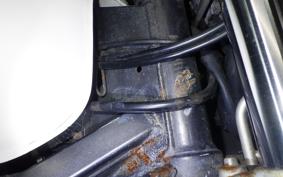 HONDA HORNET 250 1999 MC31