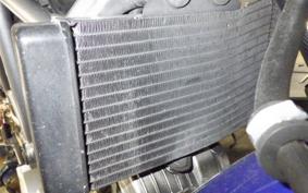 HONDA VTR 250 MC33