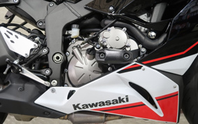 KAWASAKI NINJA ZX-6R 2021 ZX636G