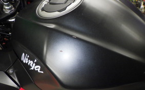 KAWASAKI NINJA 250 2017 EX250P