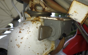HONDA NOVIO PM50