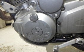 KAWASAKI SUPER SHERPA 2020 KL250G