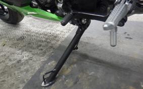 KAWASAKI ZX-4RR 2024 ZX400P