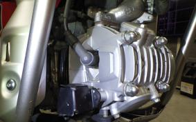 HONDA CT125 HUNTER CUB