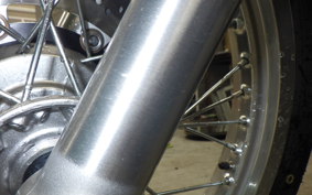 KAWASAKI W800 2025 EJ800E