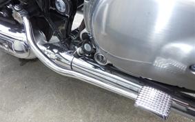 KAWASAKI W800 2020 EJ800B