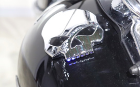 HARLEY FXDF 2009 GY4