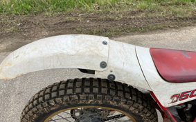 YAMAHA TY250 R 38V
