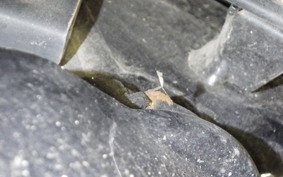 HONDA GYRO CANOPY 2004 TA03