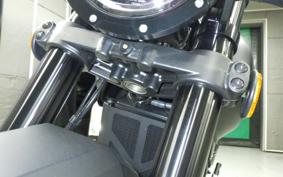 OTHER MUTT250